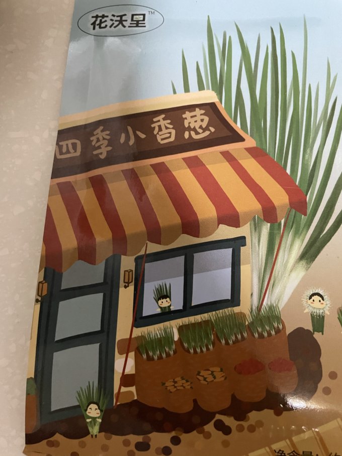 花沃里种子