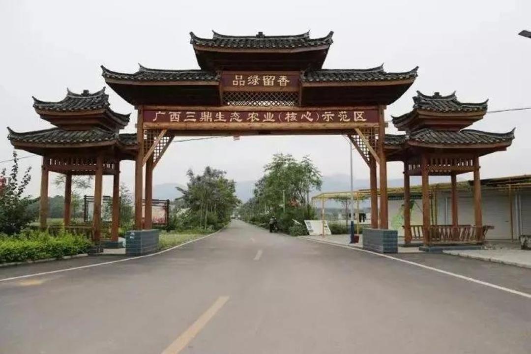 壮族自治区南宁市宾阳县武陵镇理化村委绿留村一队——三鼎庄园竹竿舞