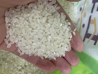 五丰大米还是不错的，一直都是吃五丰