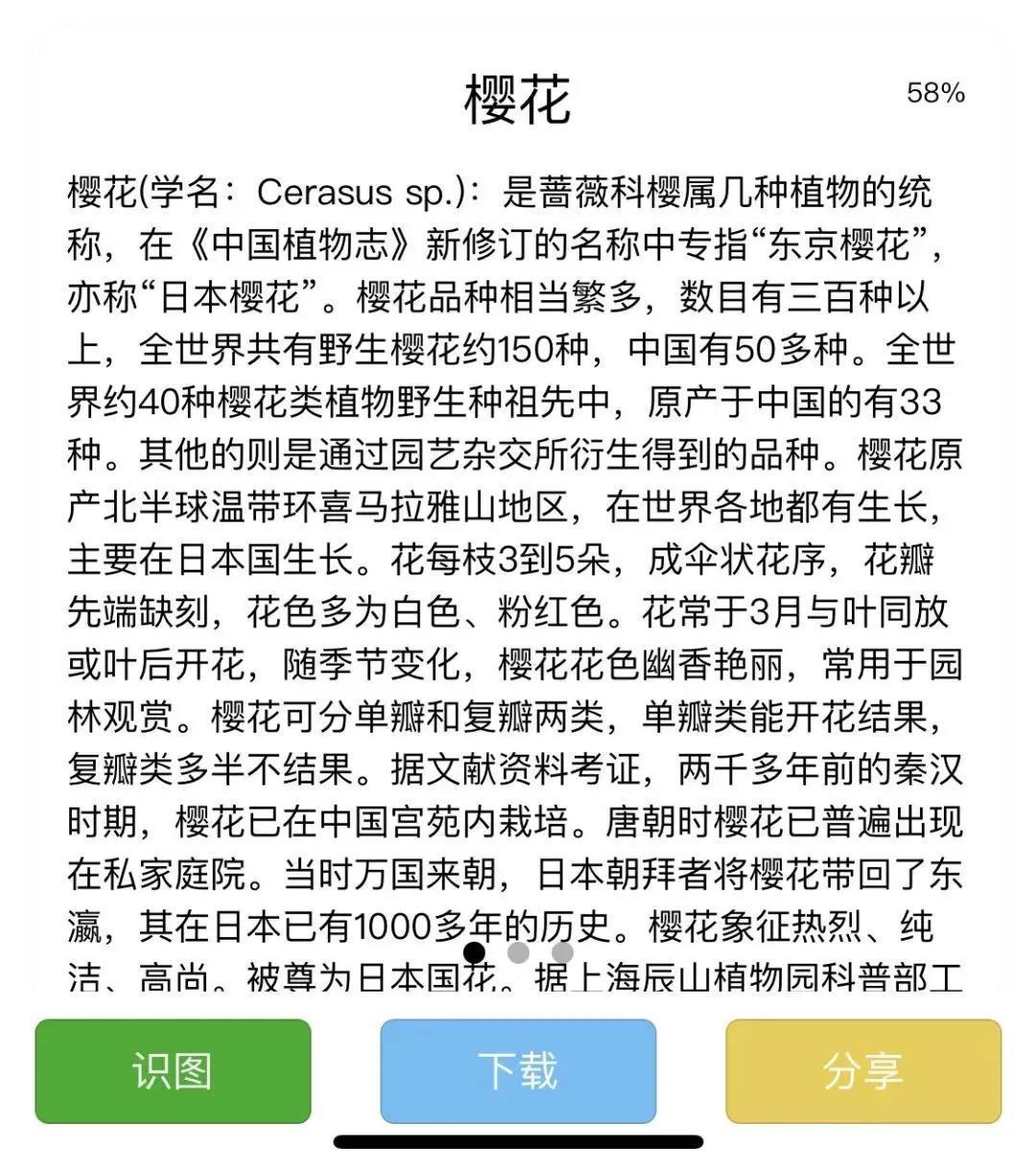 宝藏小程序，挖的老母亲我心花怒放！