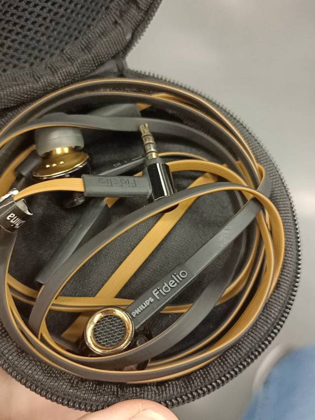 大妈带我入坑的那些耳机之飞利浦s2