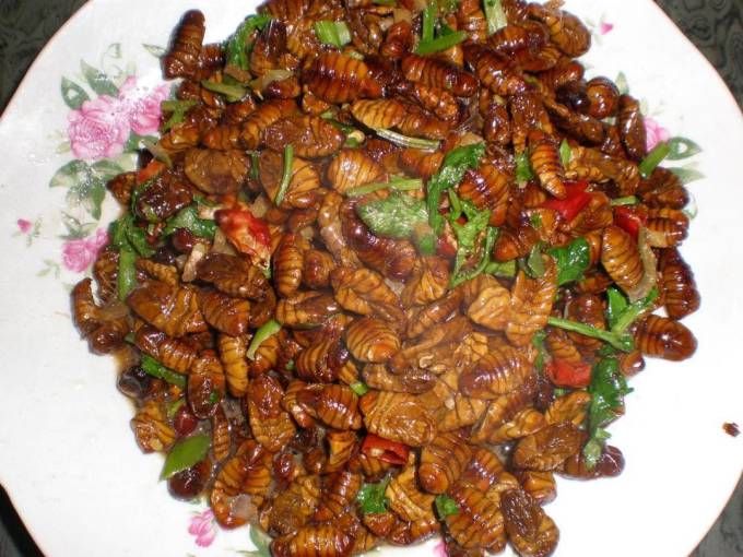 汇尔康禽蛋肉类