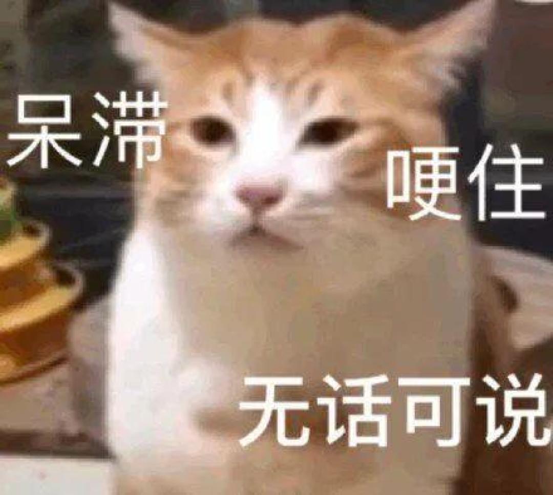 我说学习能力很重要，娃说：“家庭条件才重要。”00后的通透你根本想不到……