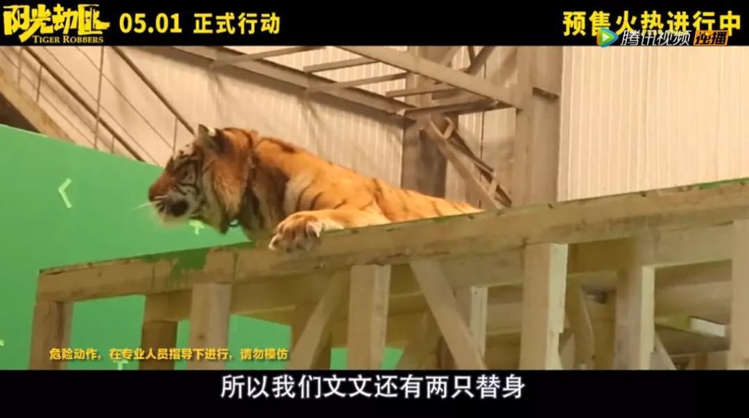 不是谁拍城市童话风都是韦斯·安德森 | 五一档影评⑧