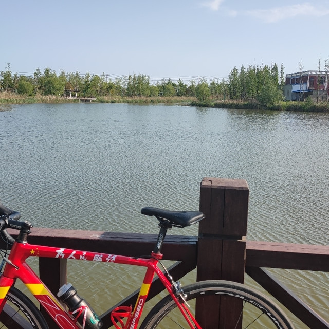 公路车小白入坑一年体验