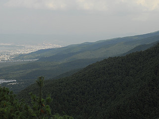 尼康色彩其实很讨喜