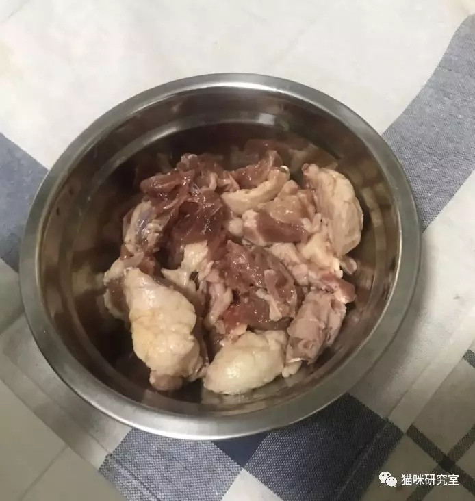 争议:猫能不能吃骨头?