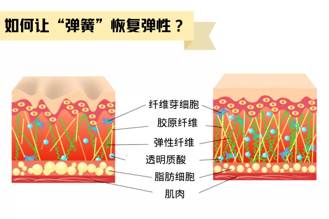 相亲必备隐藏年龄神器？抗老第一步不能少了它～