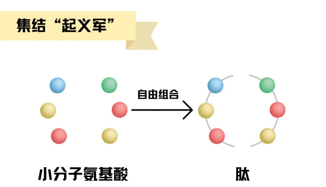 相亲必备隐藏年龄神器？抗老第一步不能少了它～