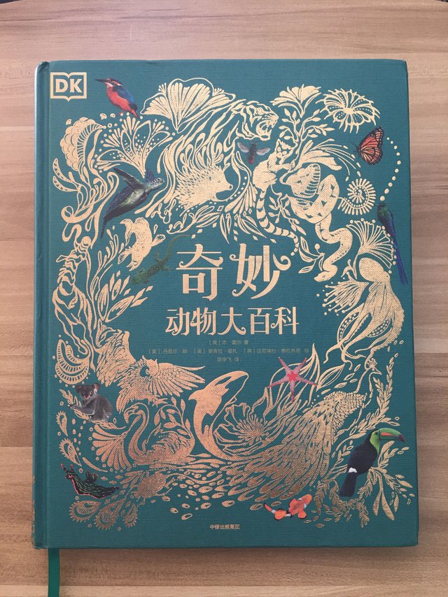 陪孩子一起阅读