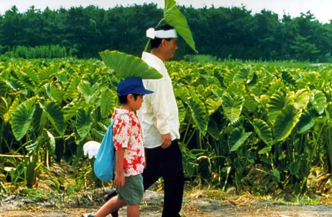 《菊次郎的夏天》二十余载的经典,在伤痛中蕴含的温情