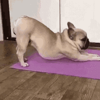 每天这样蹲5分钟，肚子和大腿赘肉紧实了！瑜伽！