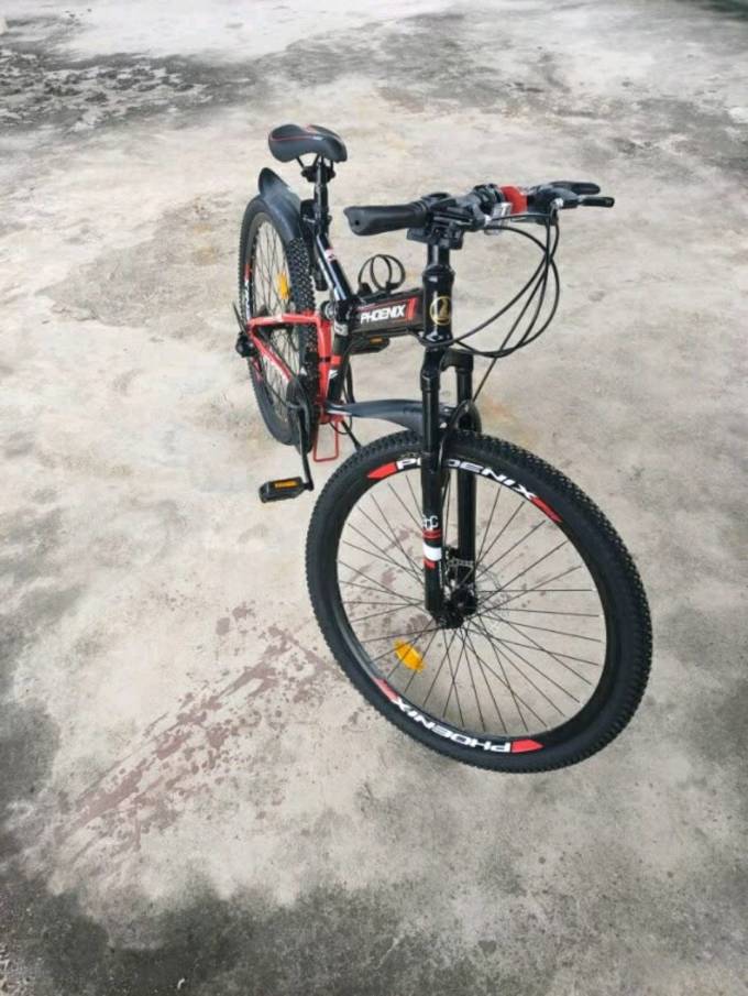 凤凰光学折叠车
