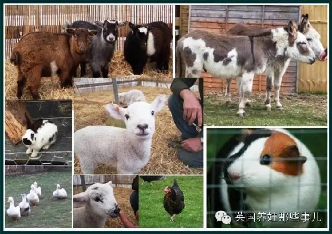 宝宝生日怎么过,生日聚会方式地点超全攻略