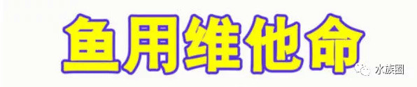 求您了，亲！别再直接用不处理的自来水养鱼了！再有新手问怎么养鱼，养水丢给他！