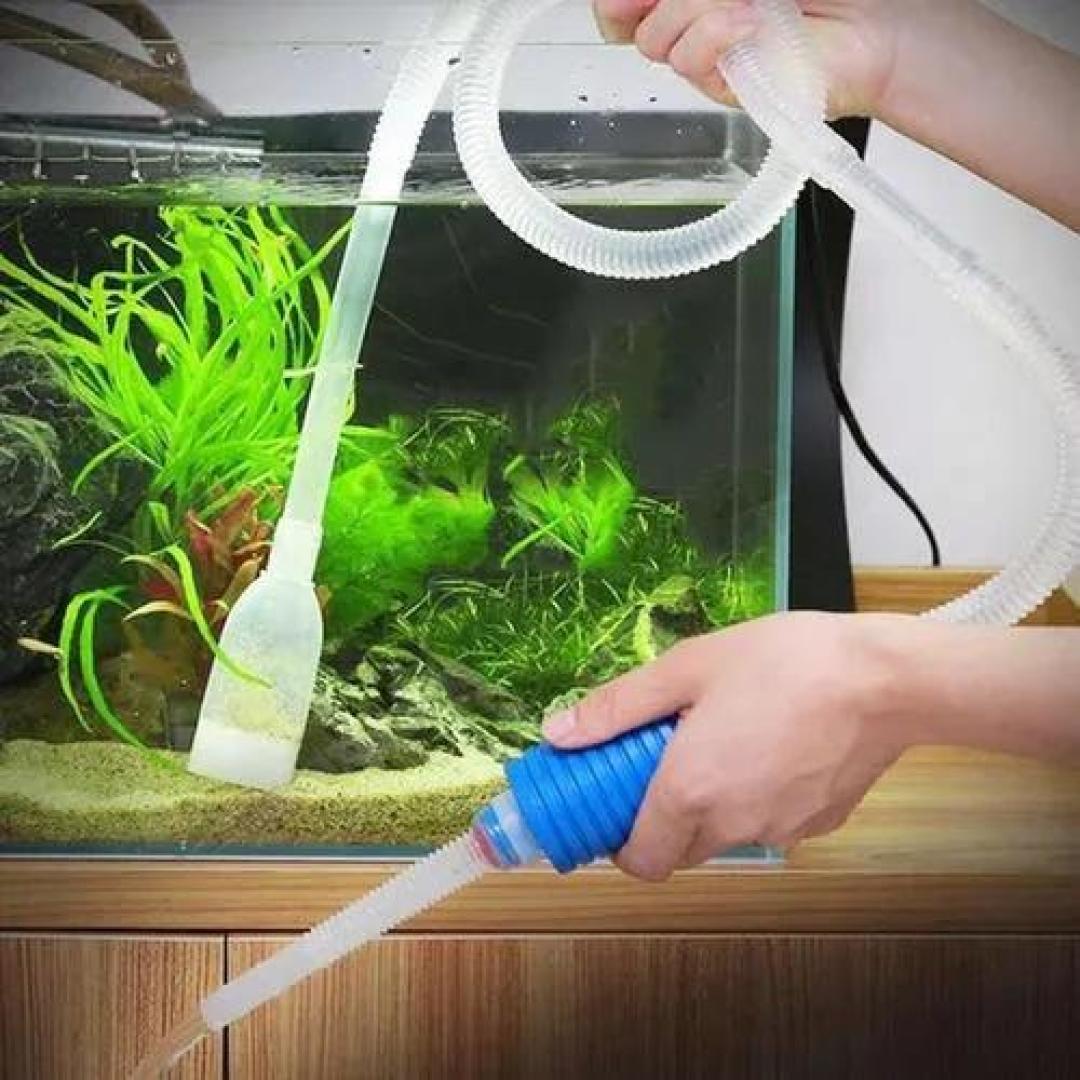 聊完自来水我们再说说换水吧!这是一个没有标准答案的答案!