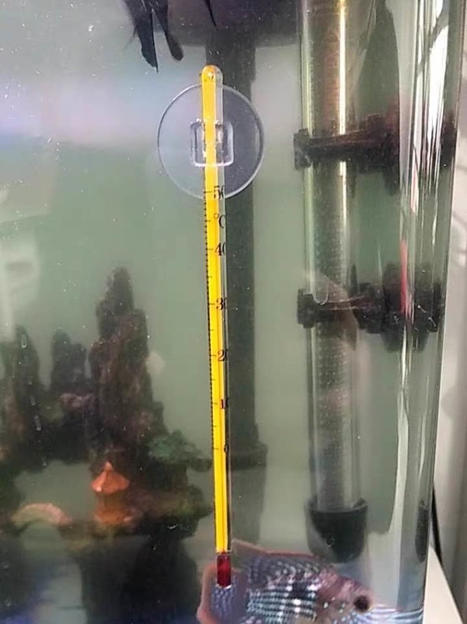 捣蛋鬼水族用品