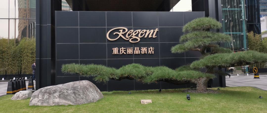 “巴江江水色,一带浓蓝碧”,“山城头牌”——重庆丽晶酒店,生日当天入住体验
