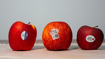 NZ Queen、Envy、Royal GALA三种苹果对比