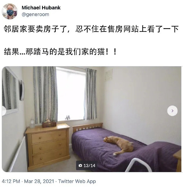 千万别惹俄罗斯猫，真实吓尿了！