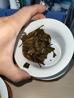 中茶蝴蝶牌白牡丹茶100g