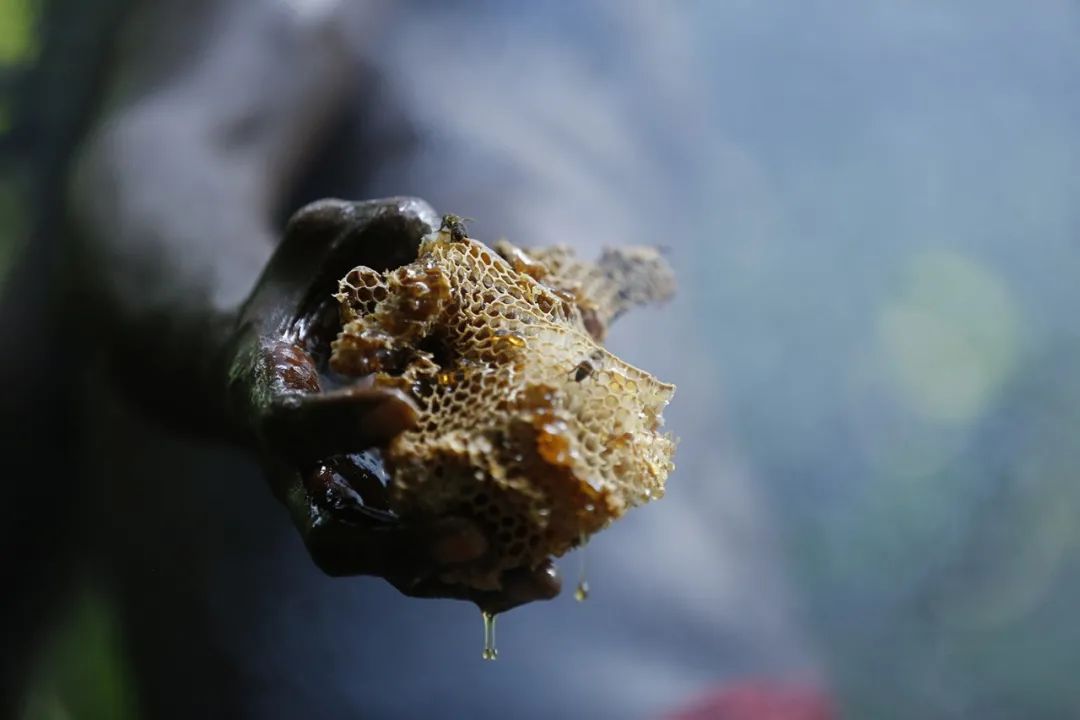 痣birthmark:有实验精神的日常器