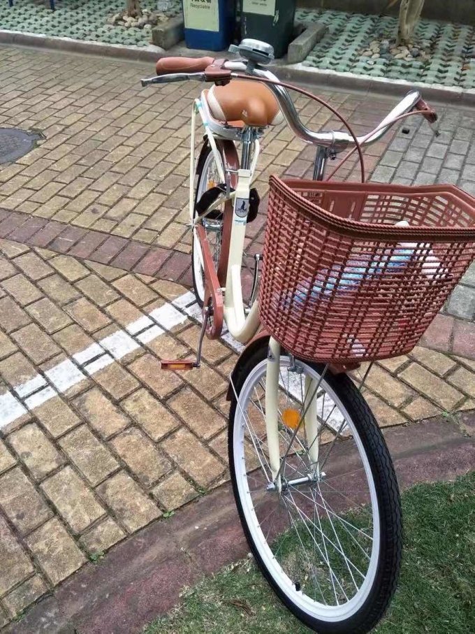 普通自行车