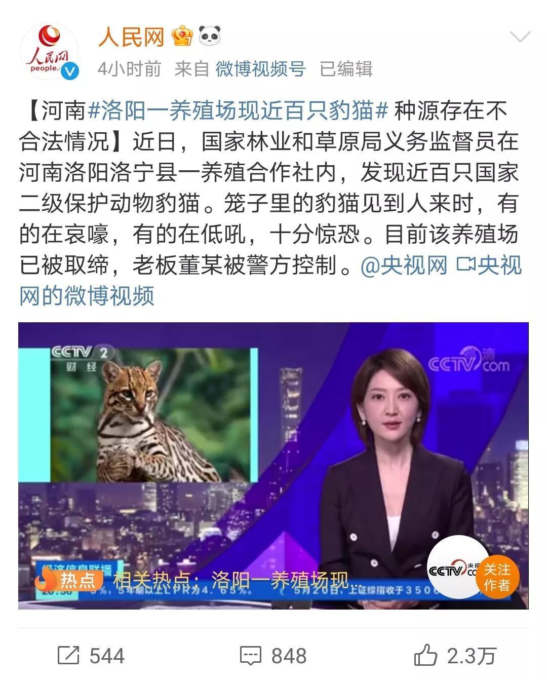 屡禁不止!男子非法收购野生豹猫售卖进局子,网友:牢底坐穿吧!