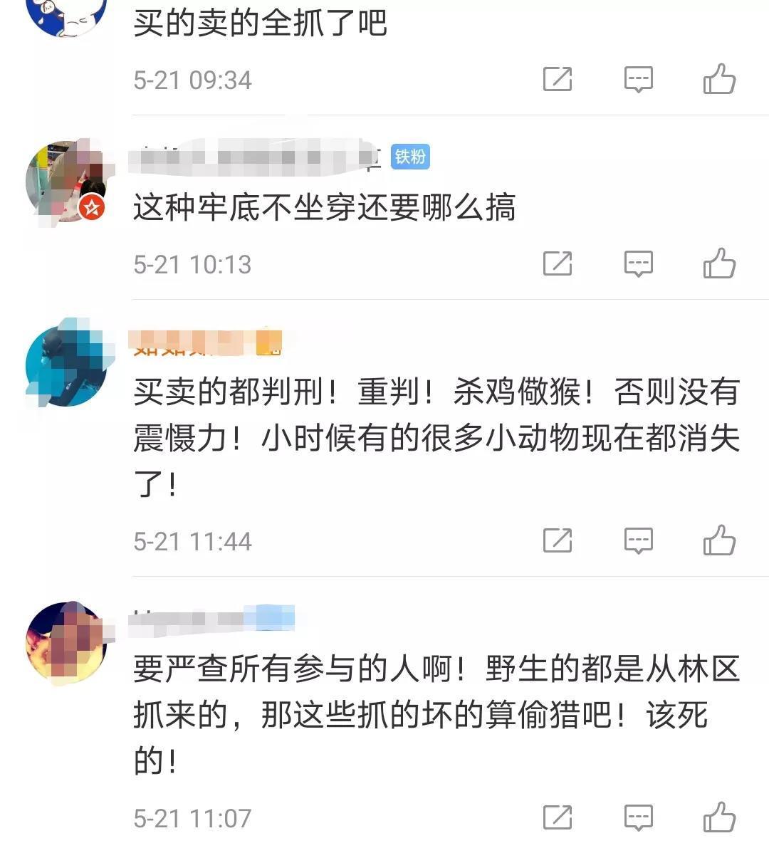 屡禁不止!男子非法收购野生豹猫售卖进局子,网友:牢底坐穿吧!