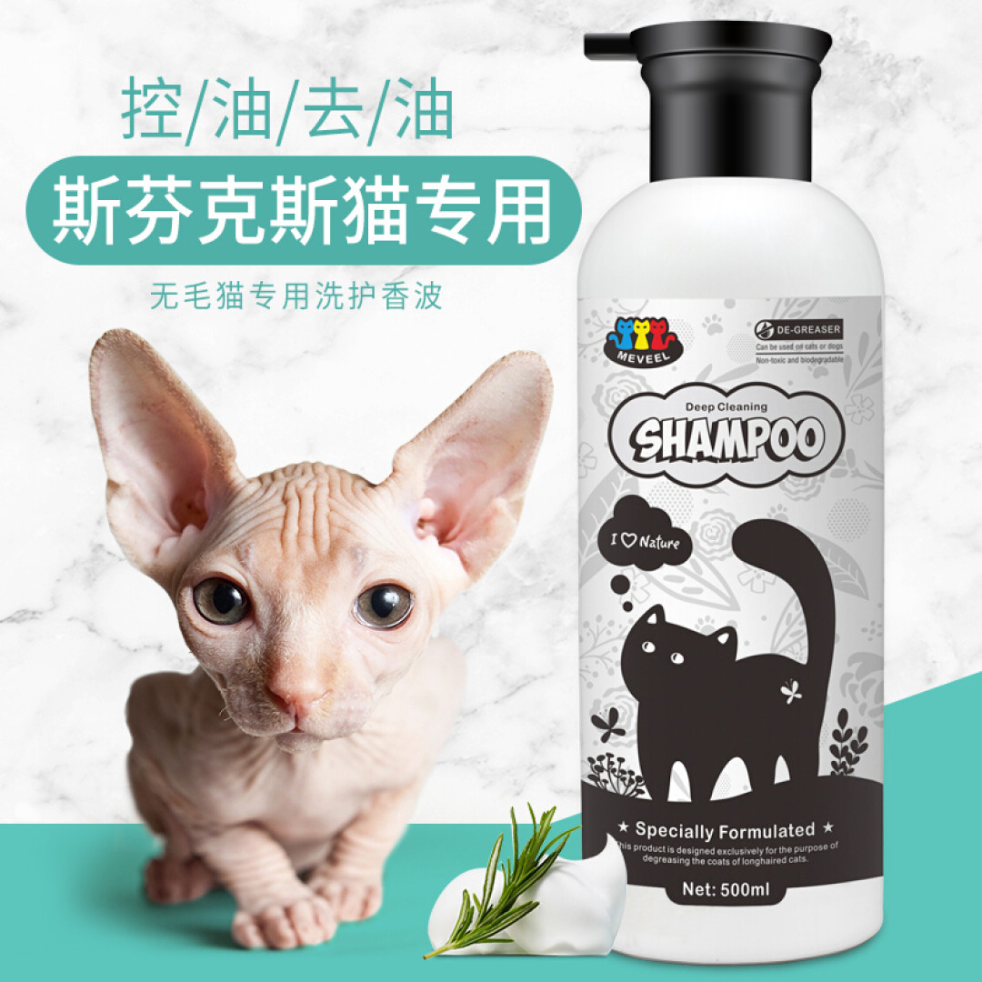 解救铲屎官的噩梦,学会这6招,给猫洗澡更顺利~
