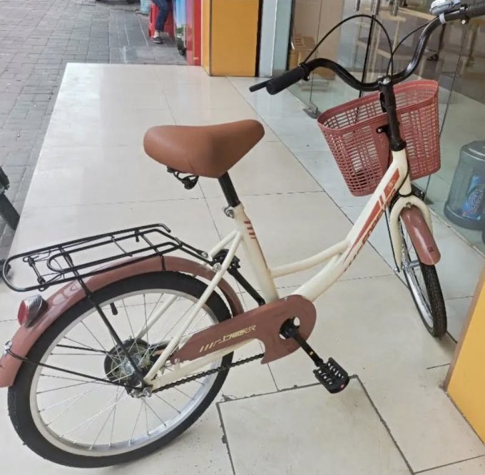 普通自行车