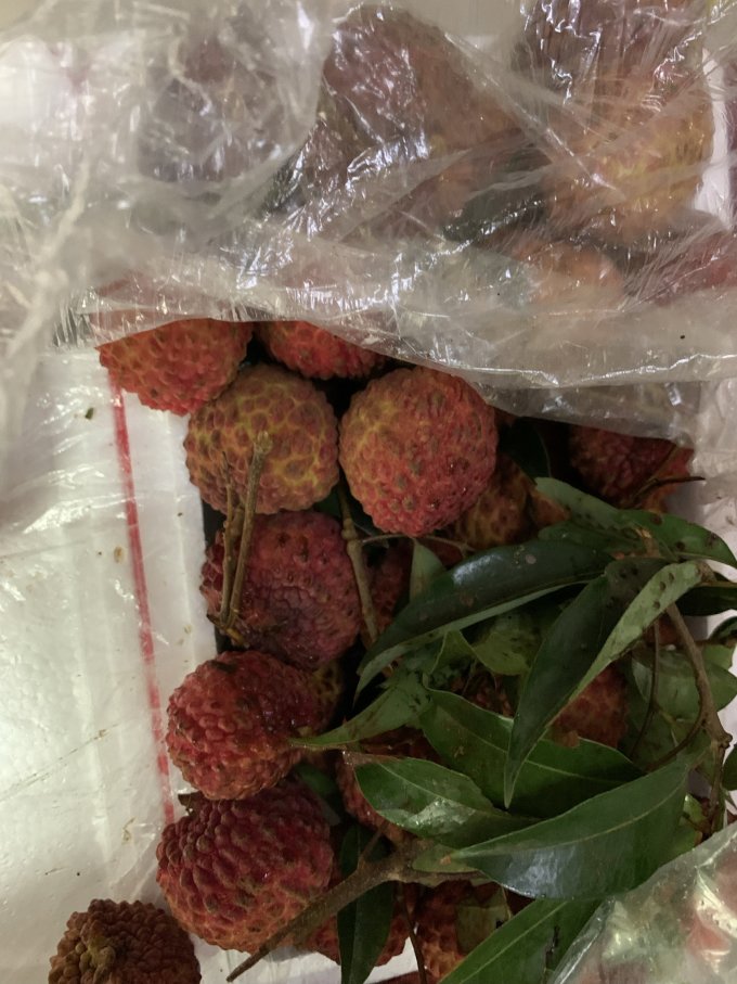 果熟蒂落新鲜水果