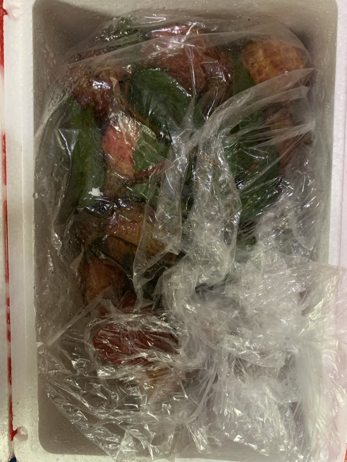果熟蒂落新鲜水果