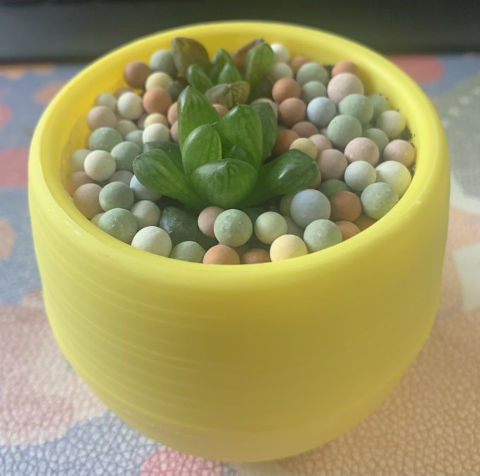 花举人园艺用品