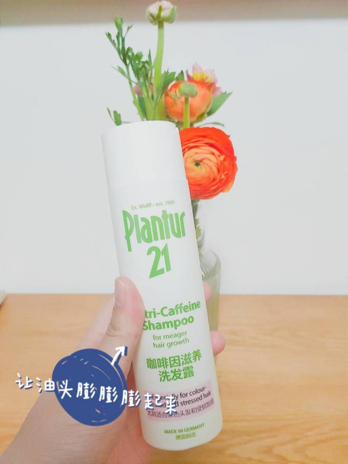 朴兰图洗发护发