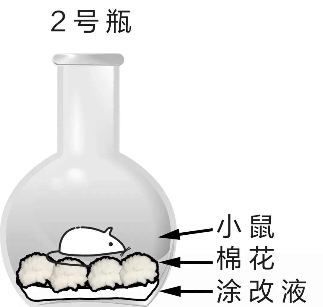  爆炸致6岁孩子化学烧伤，5分钟毒死小白鼠，却有数十万家长还在给娃买