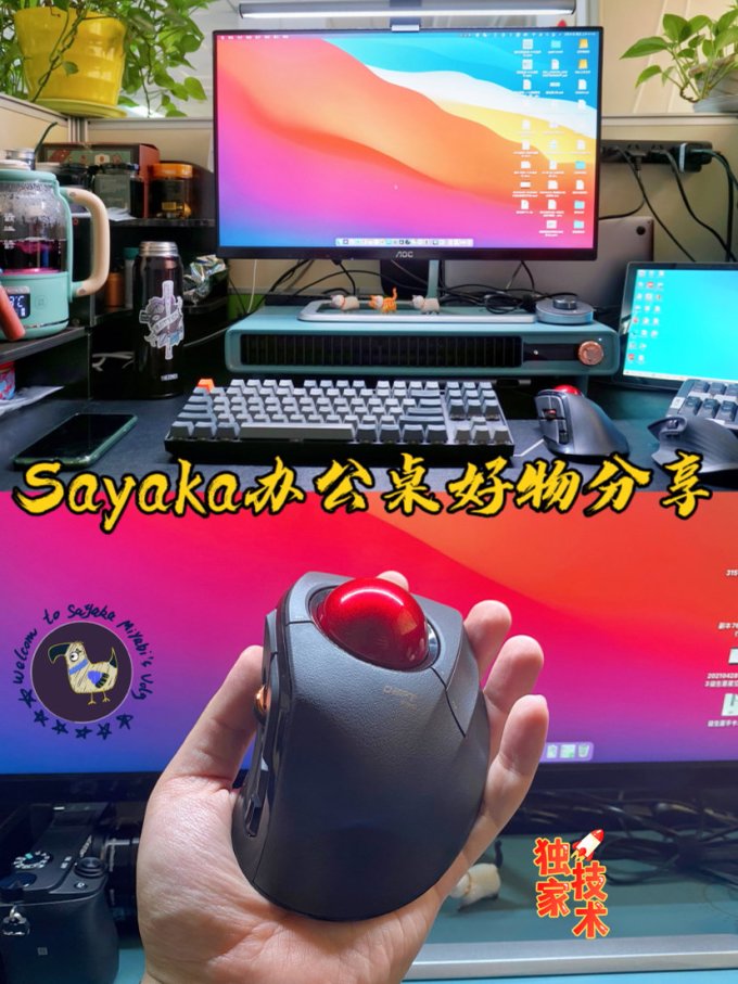 宜丽客鼠标