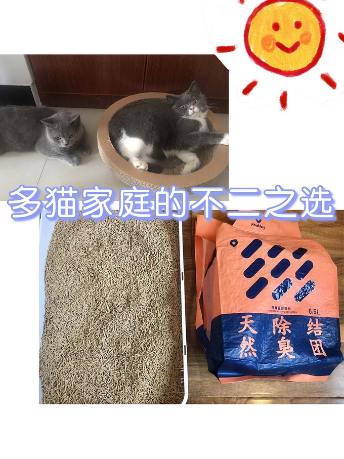 猫砂