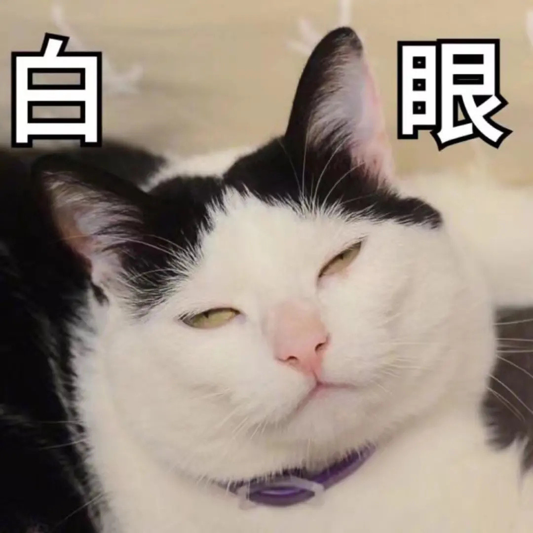 “分手后，前男友抢走我的猫，怎么办？”