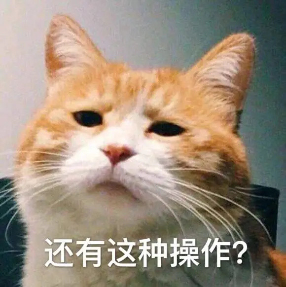 “分手后，前男友抢走我的猫，怎么办？”