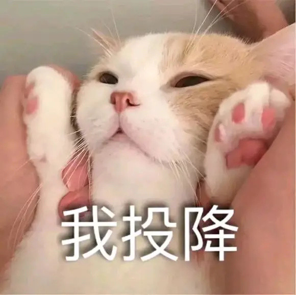 “分手后，前男友抢走我的猫，怎么办？”