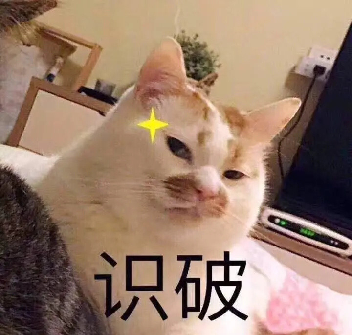 “分手后，前男友抢走我的猫，怎么办？”