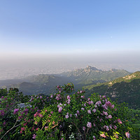 夜爬泰山