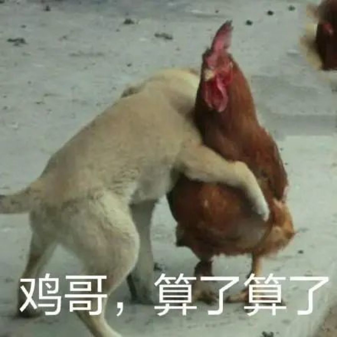 为什么我说大盘鸡是中国第一鸡?