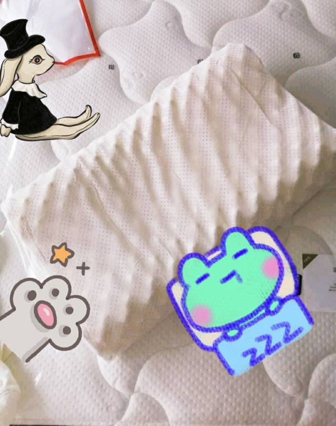 喜临门枕头