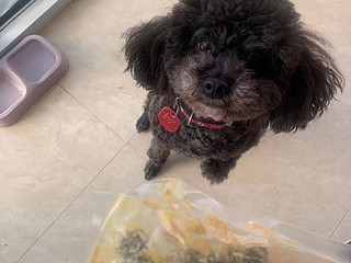 狗狗最爱鲜煮粮——食物链宠物全价成犬粮