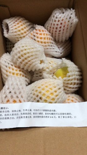 金太阳大黄杏，给你专属的“杏”福时光