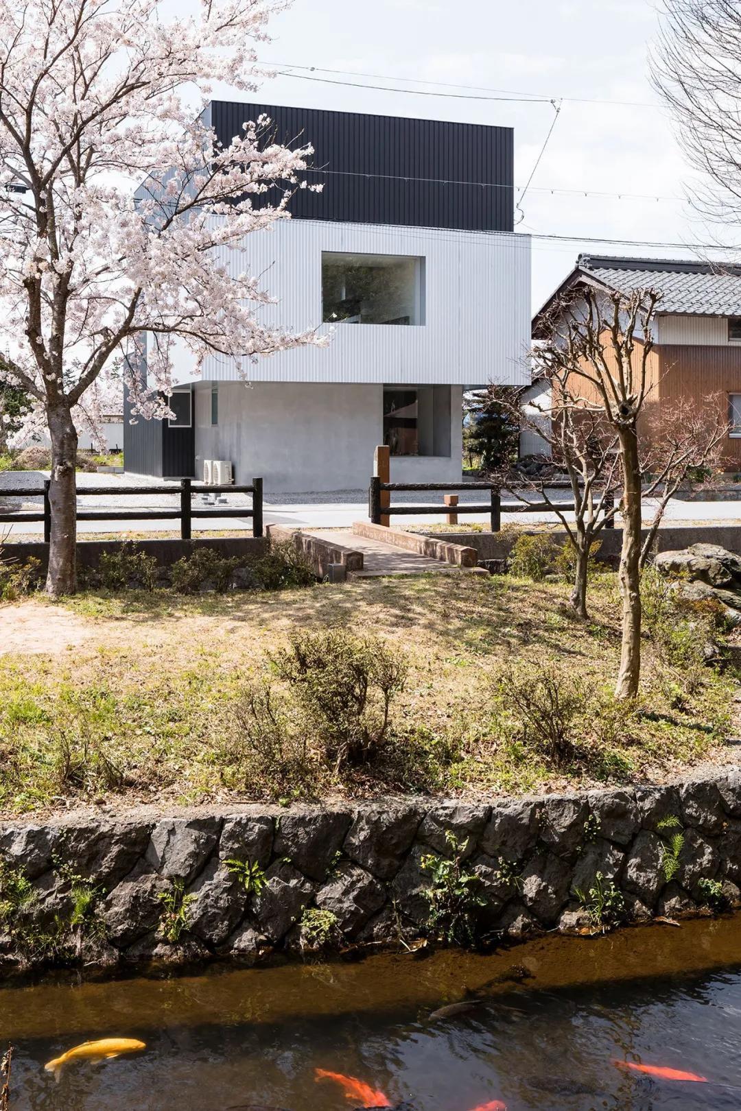 “樱花味”的几何住宅,住满了诗意的想象
