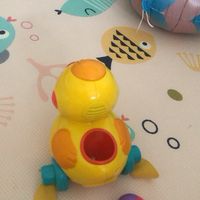 会下蛋的鸭子