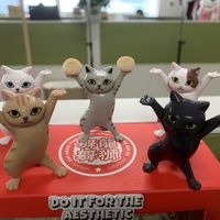 猫猫举一切！